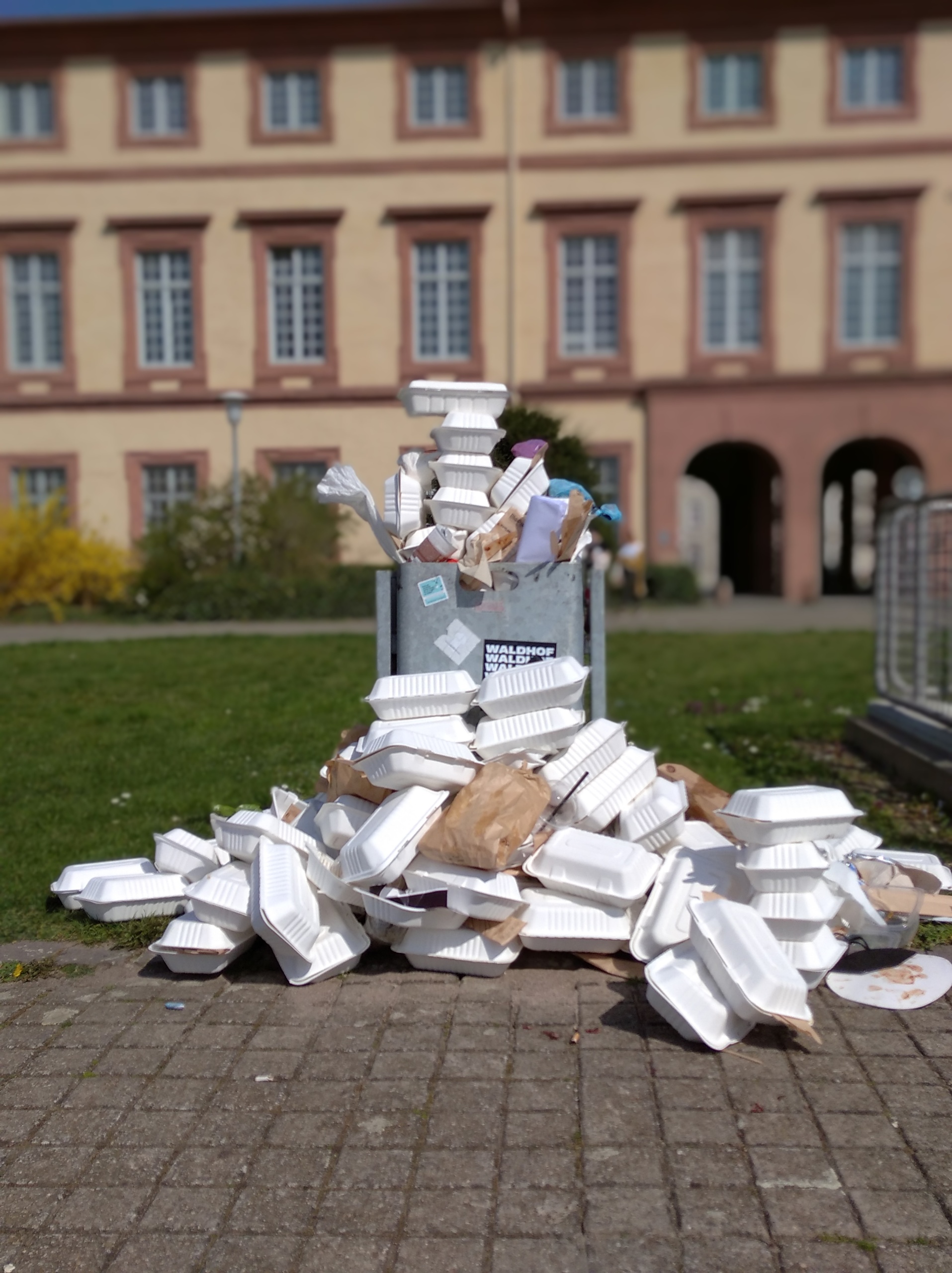 Umweltbildung & BNE